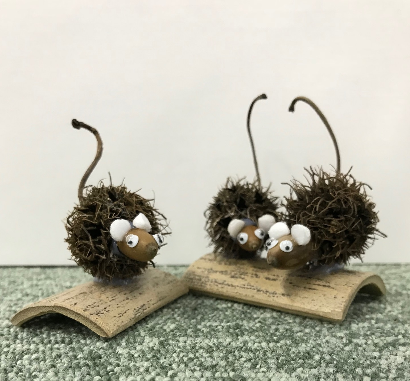 かわいいハリネズミの正体は E Gアカデミー