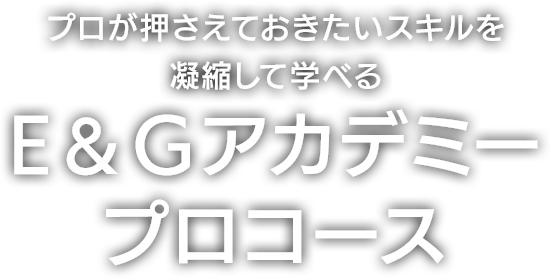 プロが押さえておきたいスキルを凝縮して学べる E＆Gアカデミープロコース